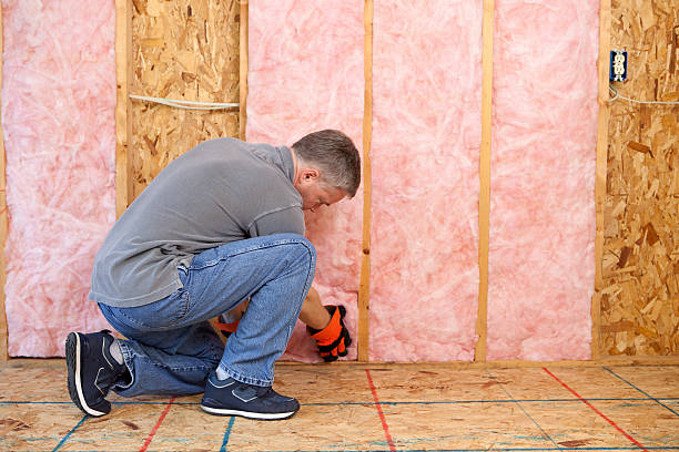 Best Wall Insulation Contractor  in Pewee Valley, KY